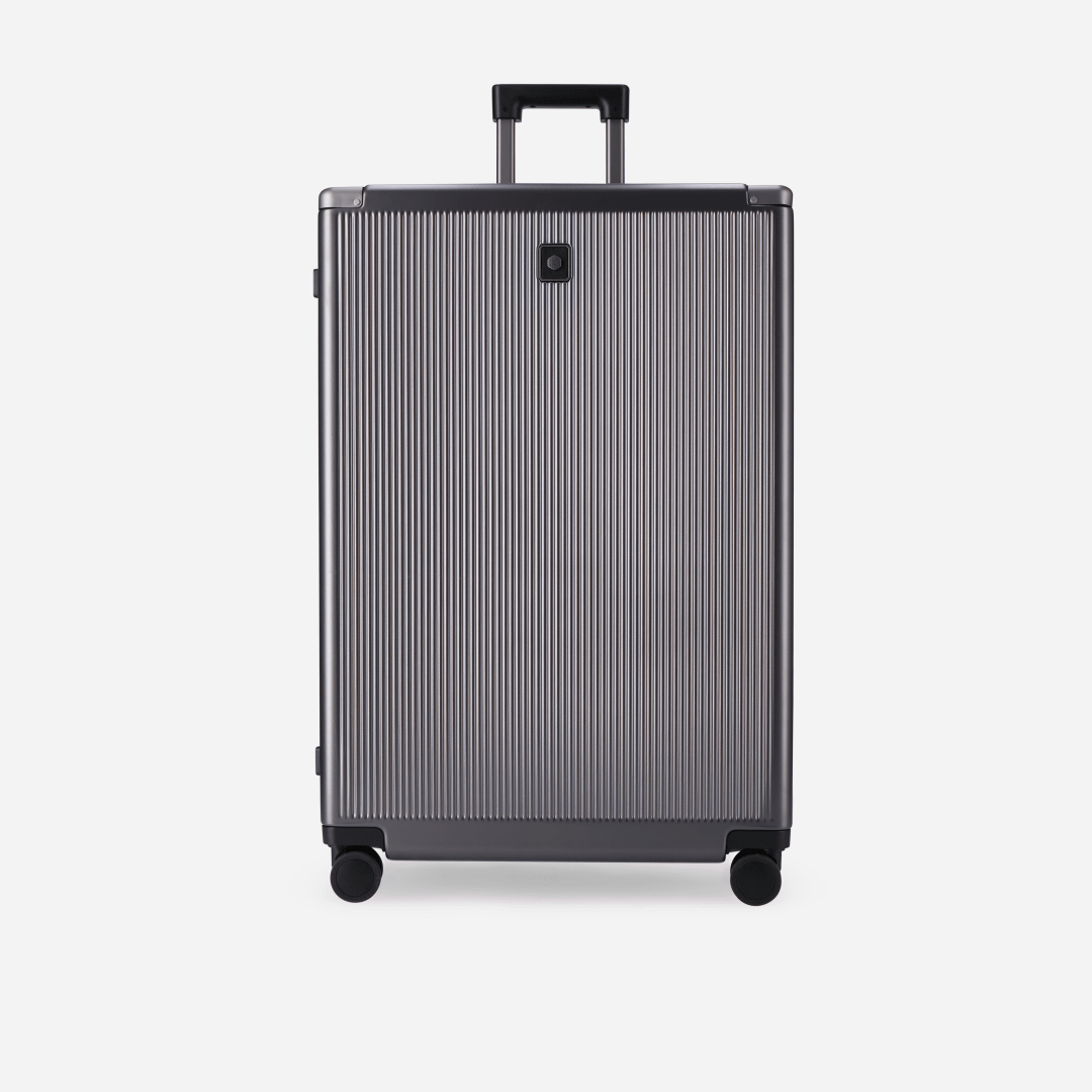 Large Check-In 79cm (115 L)