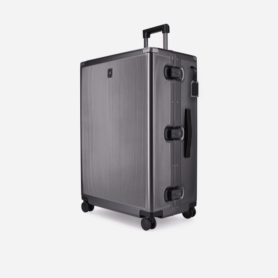 Large Check-In 79cm (115 L)