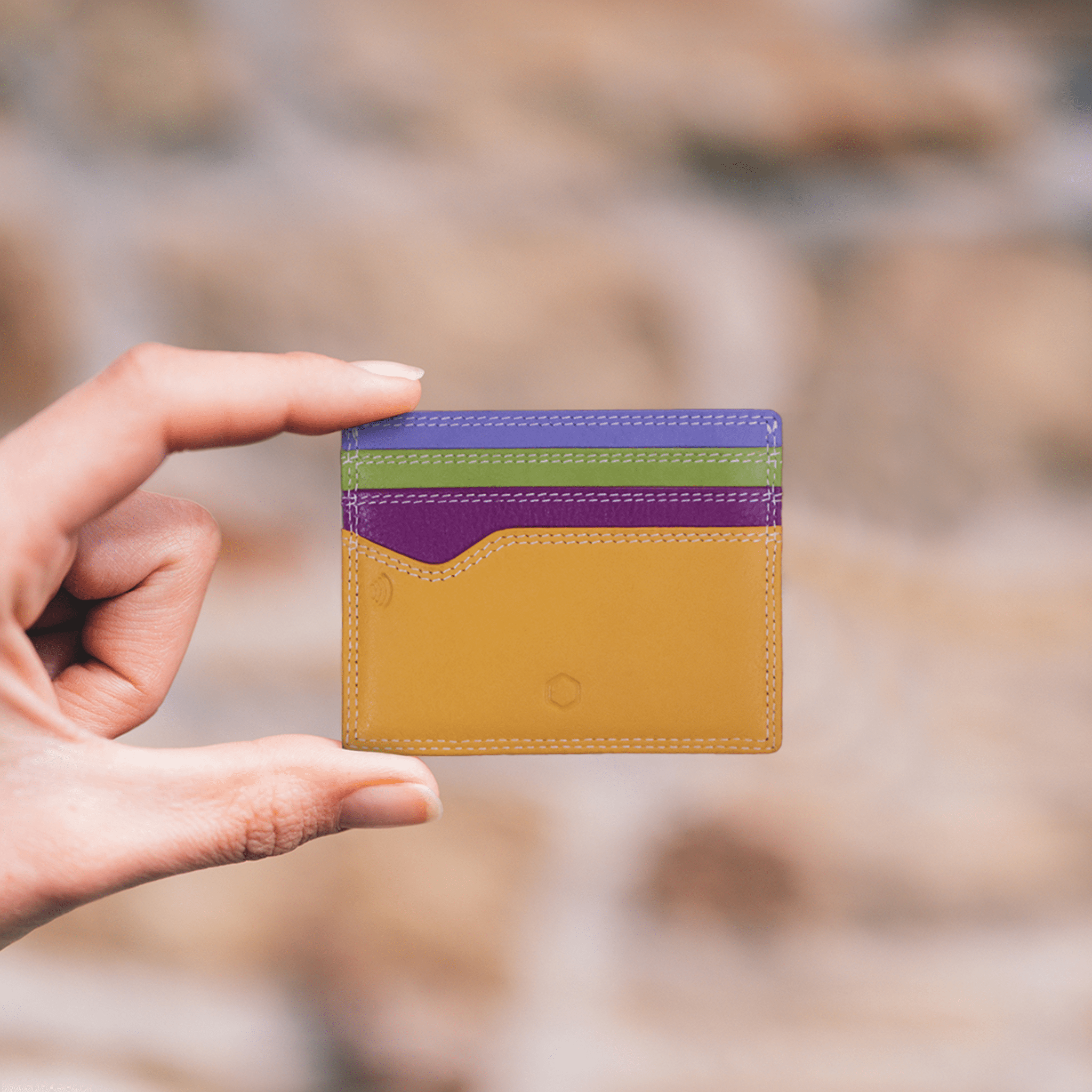 Ladies Card Holder,Wallet,Jekyll & Hide,2,