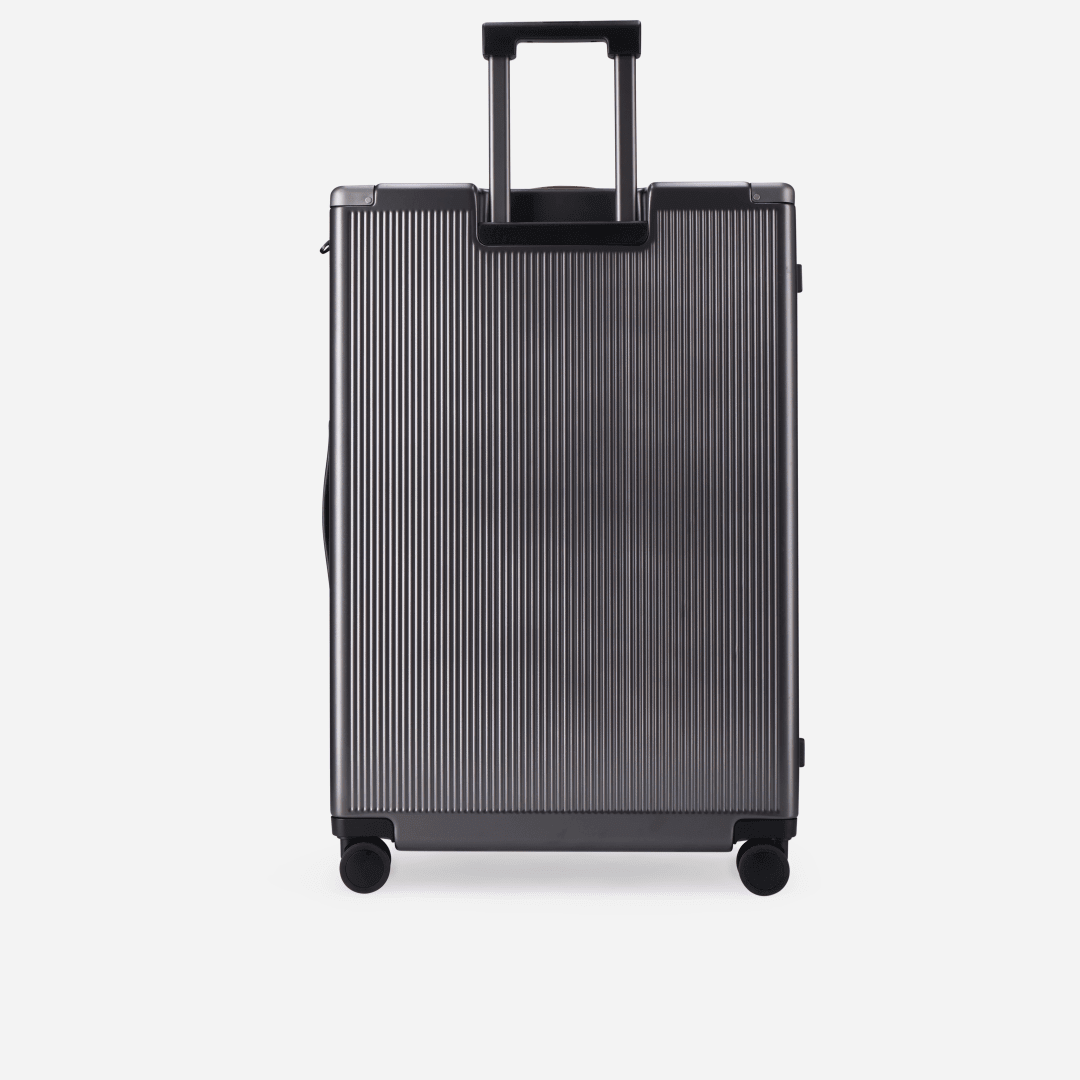 Large Check-In 79cm (115 L),Large Check in Trolley,Jekyll & Hide,13,Ess m