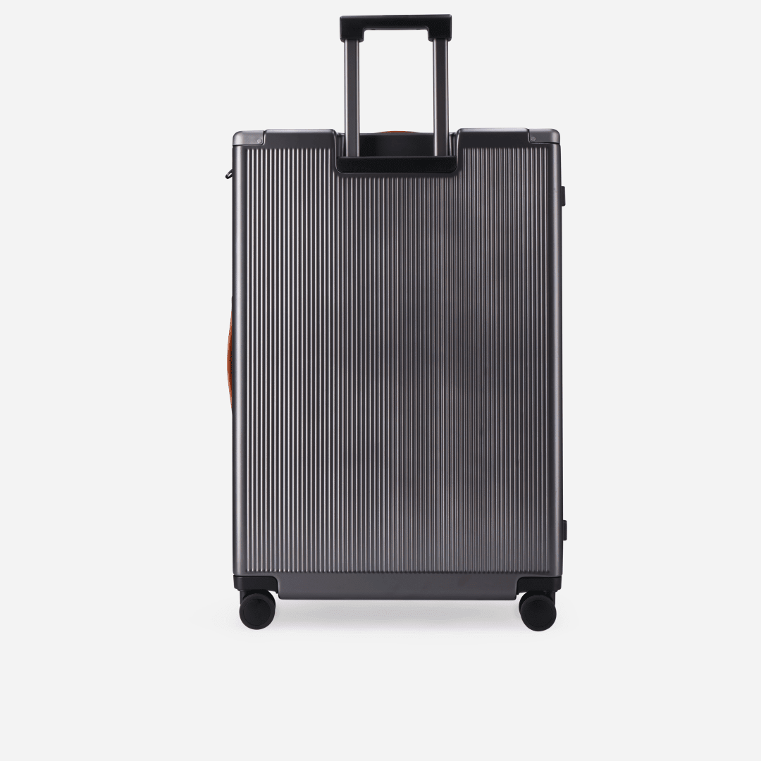 Large Check-In 79cm (115 L),Large Check in Trolley,Jekyll & Hide,7,Ess m