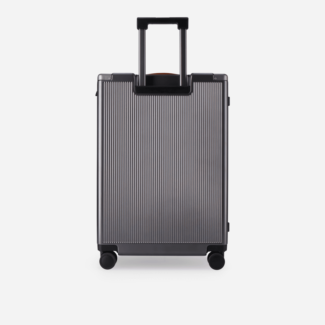 Medium Check-In 67cm (70 L),Medium Check in Trolley,Jekyll & Hide,Colt,,7